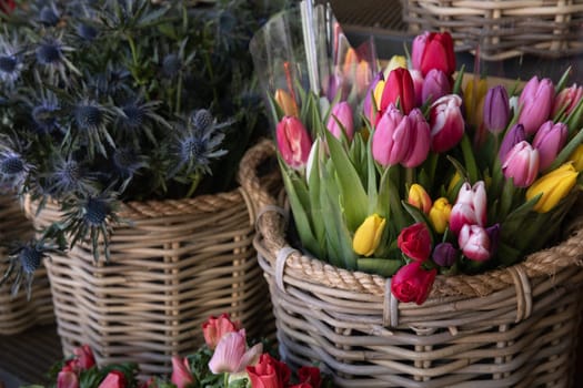 Basket full of colorful tulip bouquets at the flower garden shop in spring. Horizontal.