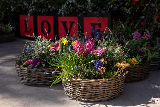 Happy spring mood baskets of flowering plants outside the flower shop - love gardening concept. Horizontal. Daylight.