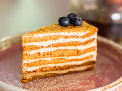 Closeup of layered honey cake with blueberries on ceramic plate. Dessert texture, taste sweet and bakery details.