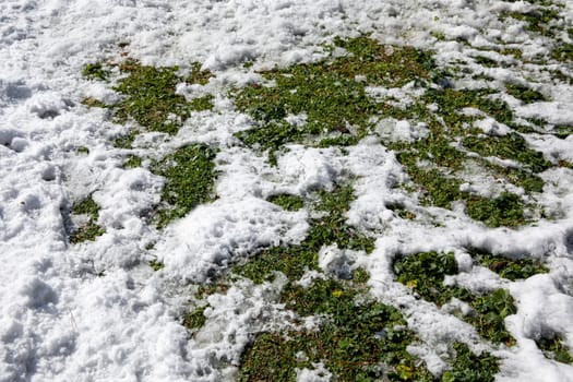 Green lawn partially covered with snow in Athens, Greece, 17th of February 2021. Horizontal.