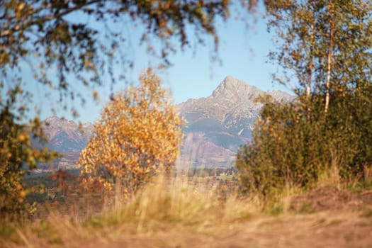 Mount Krivan peak (Slovak symbol) with blurred autumn coloured trees in foreground, Typical autumnal scenery of Liptov region, Slovakia