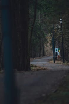 A winding gravel path runs through a dense forest with decorative street lamps and informational trail signs, captured in low light during early spring.