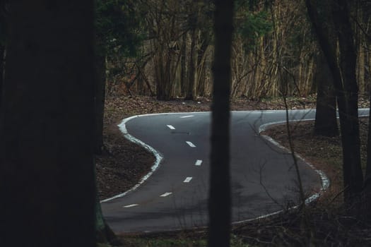 Curved asphalt road winds sharply through a leafless forest in early spring, surrounded by tall trees and natural undergrowth.