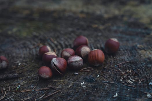 A group of raw hazelnuts lies scattered on a dark textured tree stump surface, surrounded by forest debris and soft natural light.