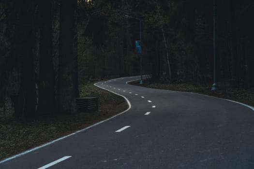 An empty winding road with white markings runs through a dim forest, lined with tall trees and street lamps, captured in moody low light.