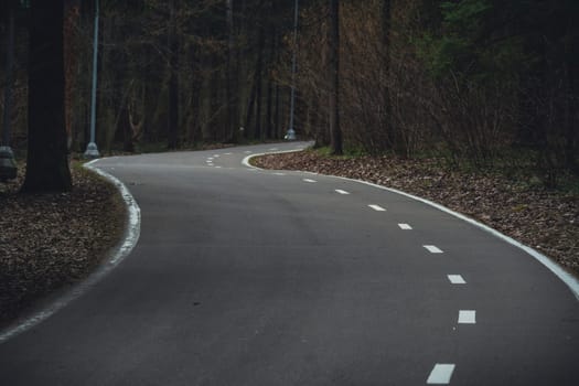 A curving paved road lined with white markings winds through a quiet forest with leafless trees and scattered dry foliage on the ground.