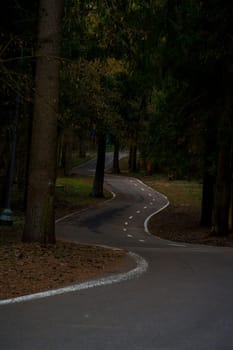 A winding paved bike path meanders through a quiet, dense forest with early spring foliage and no people in sight.