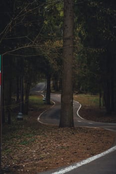 A curving paved path winds through a forest with tall trees and streetlights along the sides. A large tree stands directly on the path, creating an obstacle.