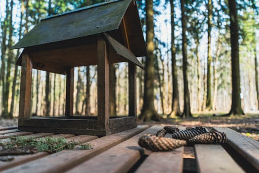 Close-up of a wooden bird feeder on a picnic table in a forest, with scattered pinecones and blurred background of tall trees in daylight.