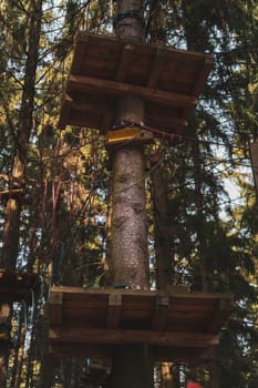 Close-up of wooden rope park platforms and safety cables attached to a tall tree in a dense forest, used for outdoor adventure activities.