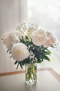White peonies flowers in a vase on white background