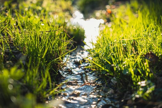 Shallow stream of clear water running through vibrant green grass, with sunlight reflecting off the surface in a peaceful natural scene.