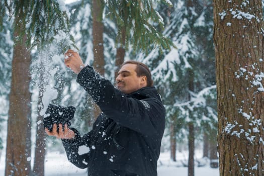 Smiling man in black winter jacket removing snow from fir branch in snowy forest surrounded by tall trees