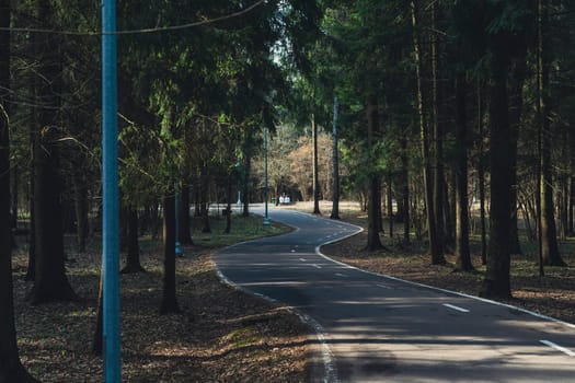 Curved paved road with lane markings surrounded by trees and lit by street lamps, with benches visible in the distance.