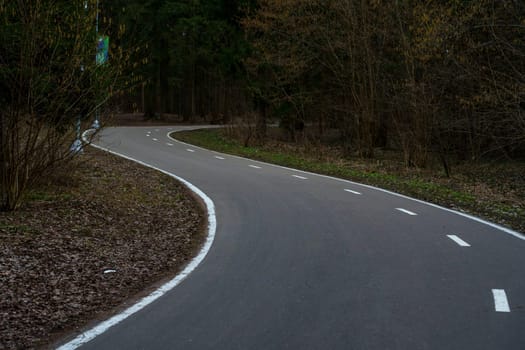 Empty winding road with white lane markings curves through a quiet forest with bare trees and emerging greenery in early spring.