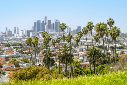 the skyline of los angeles with palm trees
