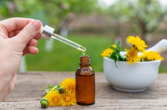 Dandelion extract and homeopathic supplements. Selective focus. nature.