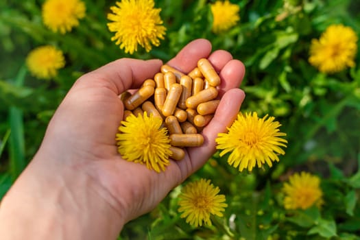 Dandelion extract and homeopathic supplements. Selective focus. nature.