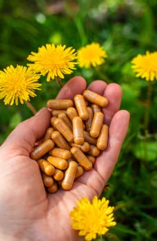 Dandelion extract and homeopathic supplements. Selective focus. nature.