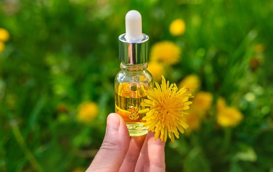 Dandelion extract and homeopathic supplements. Selective focus. nature.
