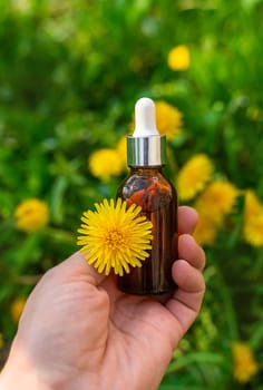 Dandelion extract and homeopathic supplements. Selective focus. nature.