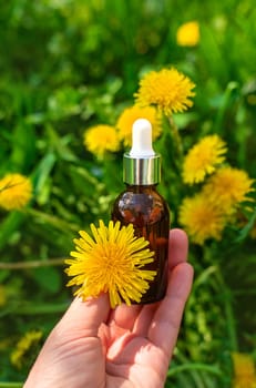 Dandelion extract and homeopathic supplements. Selective focus. nature.