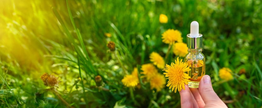 Dandelion extract and homeopathic supplements. Selective focus. nature.