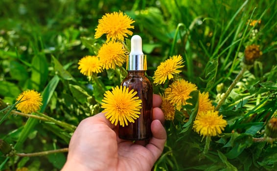 Dandelion extract and homeopathic supplements. Selective focus. nature.