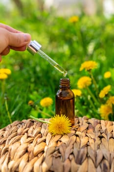Dandelion extract and homeopathic supplements. Selective focus. nature.