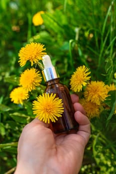 Dandelion extract and homeopathic supplements. Selective focus. nature.