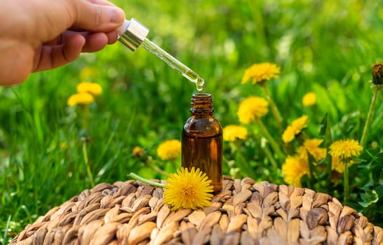 Dandelion extract and homeopathic supplements. Selective focus. nature.