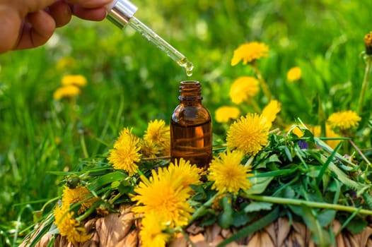 Dandelion extract and homeopathic supplements. Selective focus. nature.