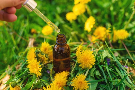 Dandelion extract and homeopathic supplements. Selective focus. nature.