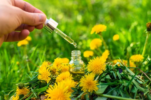 Dandelion extract and homeopathic supplements. Selective focus. nature.
