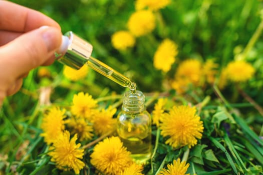 Dandelion extract and homeopathic supplements. Selective focus. nature.