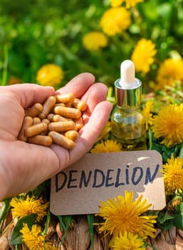 Dandelion extract and homeopathic supplements. Selective focus. nature.