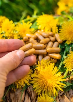 Dandelion extract and homeopathic supplements. Selective focus. nature.