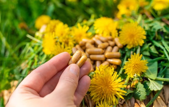 Dandelion extract and homeopathic supplements. Selective focus. nature.