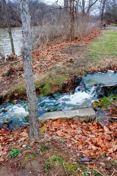 Views of Scioto Park in Late Winter, Dublin, Ohio