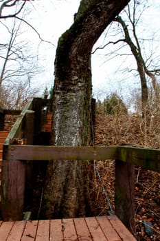 Stairs at Scioto Park in Late Winter, Dublin Ohio