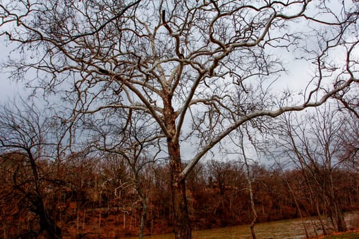 Views of Scioto Park in Late Winter, Dublin, Ohio