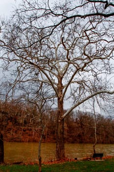 Views of Scioto Park in Late Winter, Dublin, Ohio