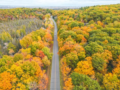 A picturesque road meanders its way through a forest filled with trees displaying vibrant fall colors, creating a stunning landscape perfect for nature lovers and outdoor enthusiasts.