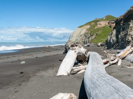Driftwood and steep cliff with black sand on New Zealand east coast.
