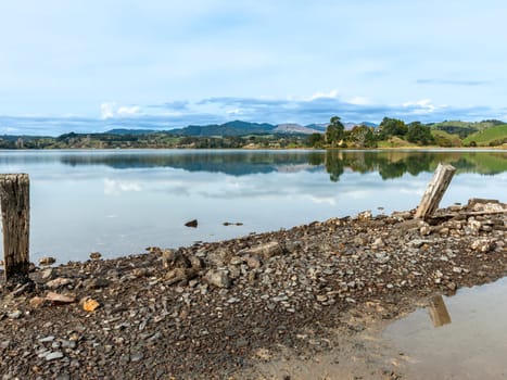 posts and stove breakwater in foreground of Ohiwa harbour scene New Zealand.