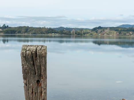 posts and stove breakwater in foreground of Ohiwa harbour scene New Zealand.