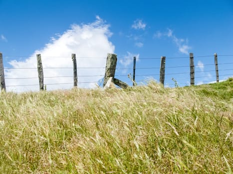 Agricultural background, field, fence and sky white cloud in blue sky over ridge fence-line in Wairarapa New Zealand.