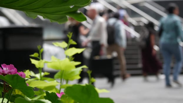 New York City, United States - 11 Sept 2023: Manhattan Midtown Lexington avenue. Defocused people pedestrian exiting subway metro station, stairs on 53 street, USA urban life. Park greenery, flowers.