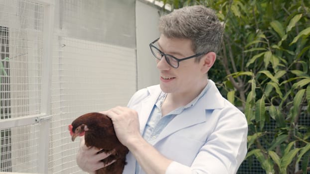 Happy veterinarian doctor man holding examining chicken for health care, farmer hold hen in natural eco farm, Animal care and ecological farming concept