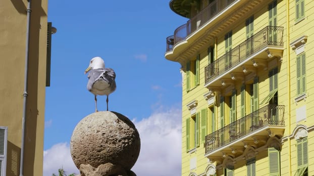 European herring gull perched on a stone sphere in nice, france